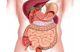 PAFI Batam Pencegahan Masalah Gastro Kunci Kesehatan Lambung